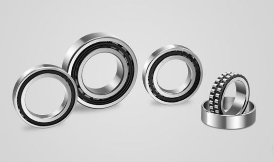 Luft- und Raumfahrt-Doppelreihe-Sphärisch-Rolllager P4 Präzisionsstufe 10kg-12300kg
