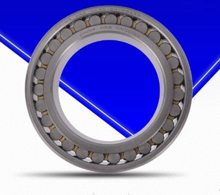 P6 Industrielager Rollenlager zylindrisch, Breite 11-80 mm Kugellager